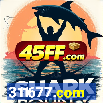 311677.com