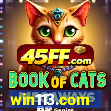win113.com